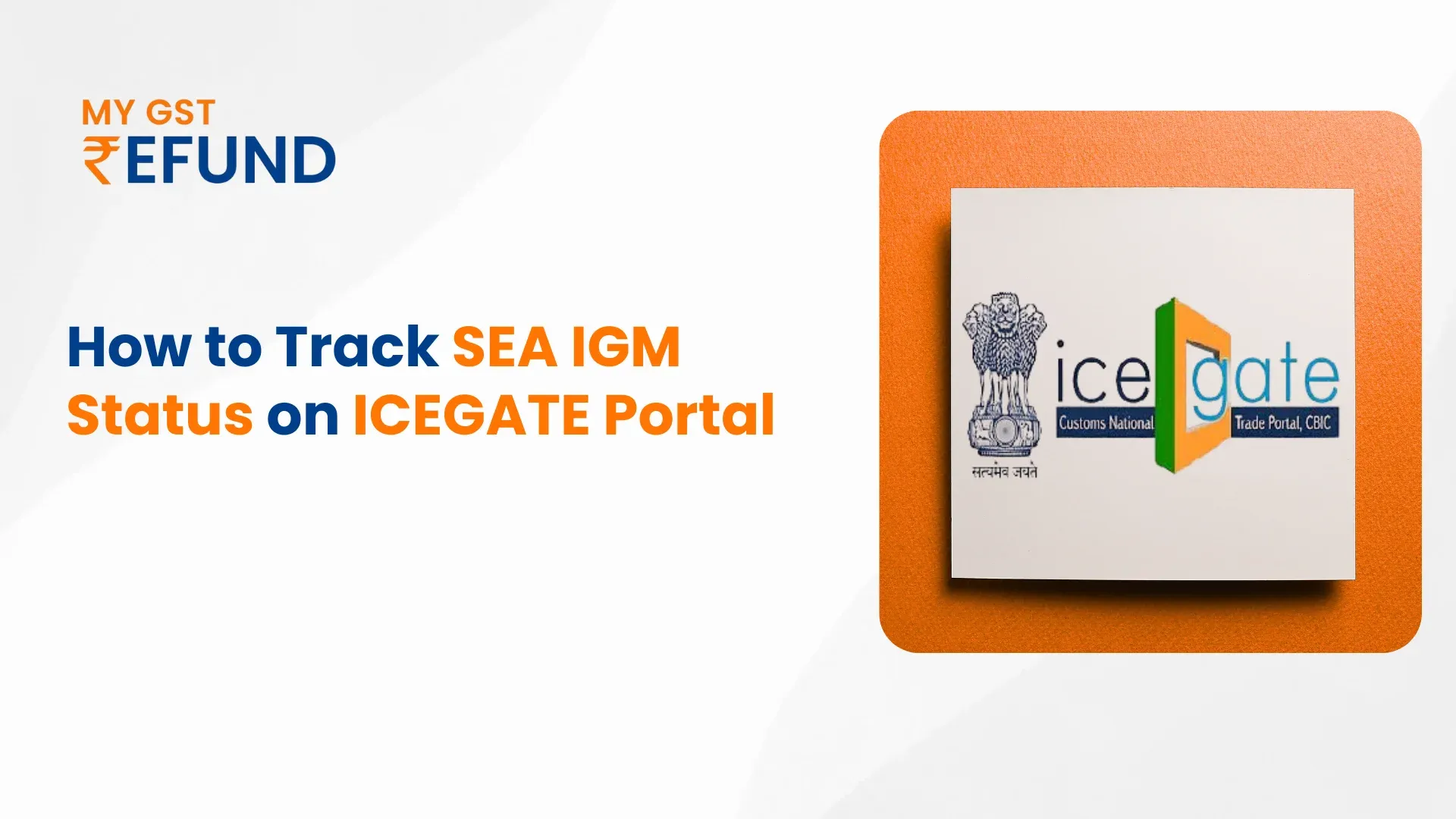 How to Track SEA IGM Status Online on ICEGATE: Steps to Follow