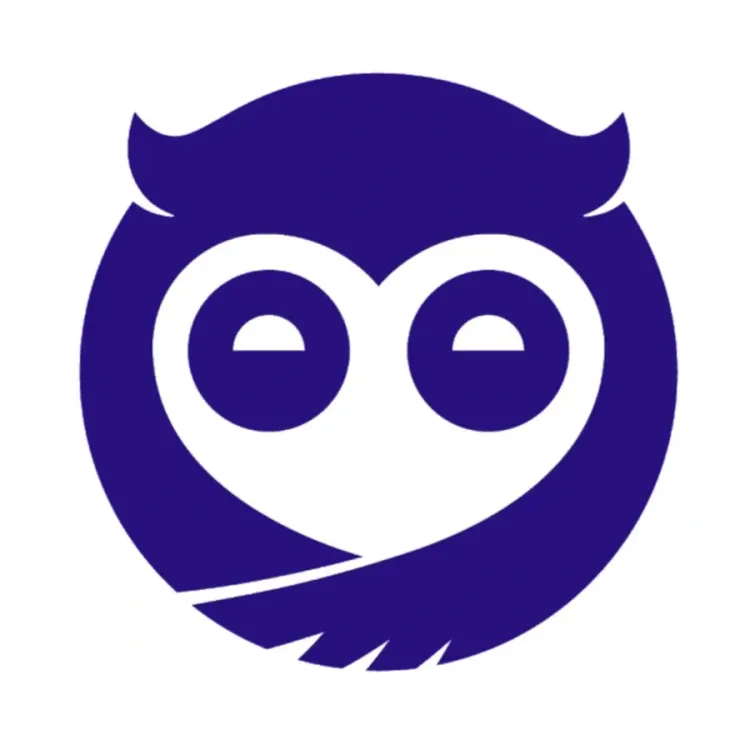 Sleepy Owl Logo